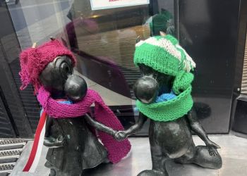 Powiększ zdjęcie: kato 2