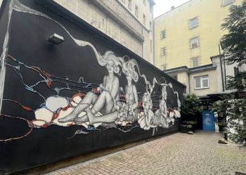 Powiększ zdjęcie: kato 4