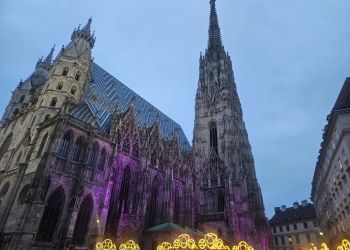 Powiększ zdjęcie: w2