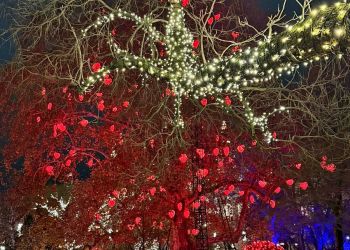 Powiększ zdjęcie: w3