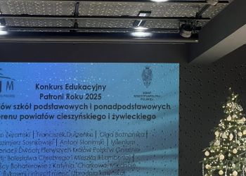 Powiększ zdjęcie: m3