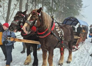 Powiększ zdjęcie: k3